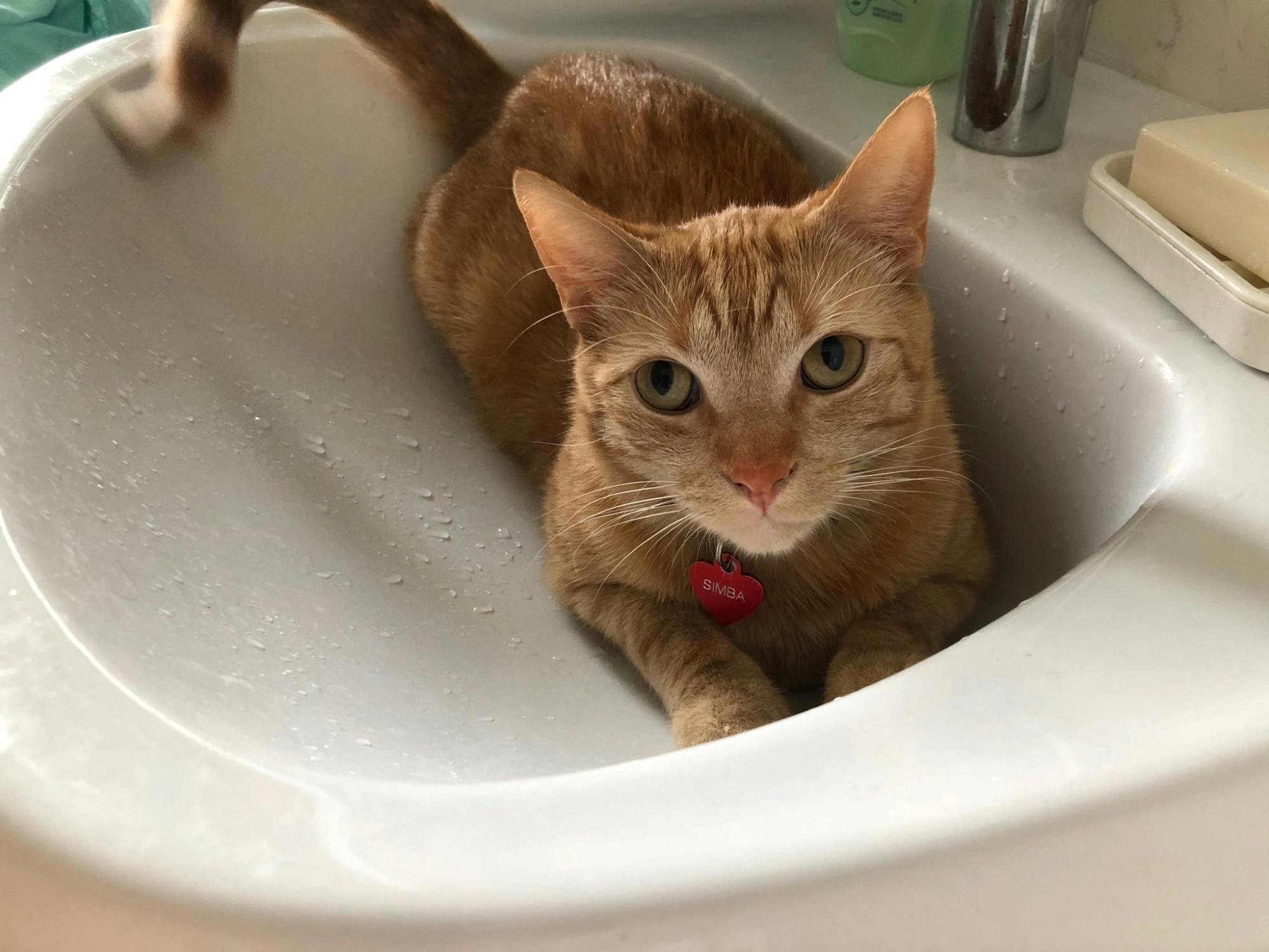 test tommi complete, this experience can be used for other tests