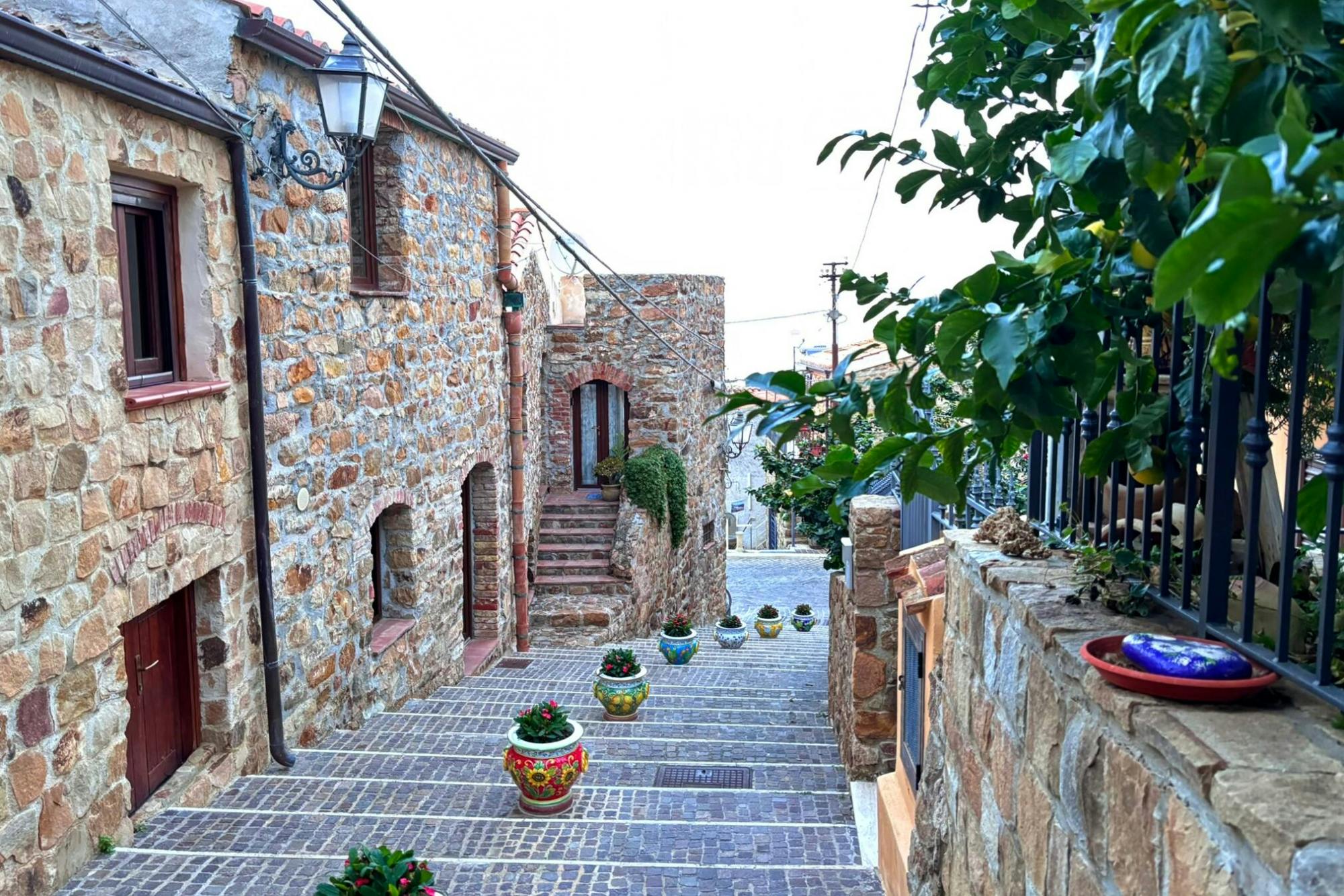 Olive oil and cheese-tasting tour with Castelbuono visit