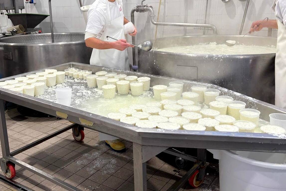 Olive oil and cheese-tasting tour with Castelbuono visit