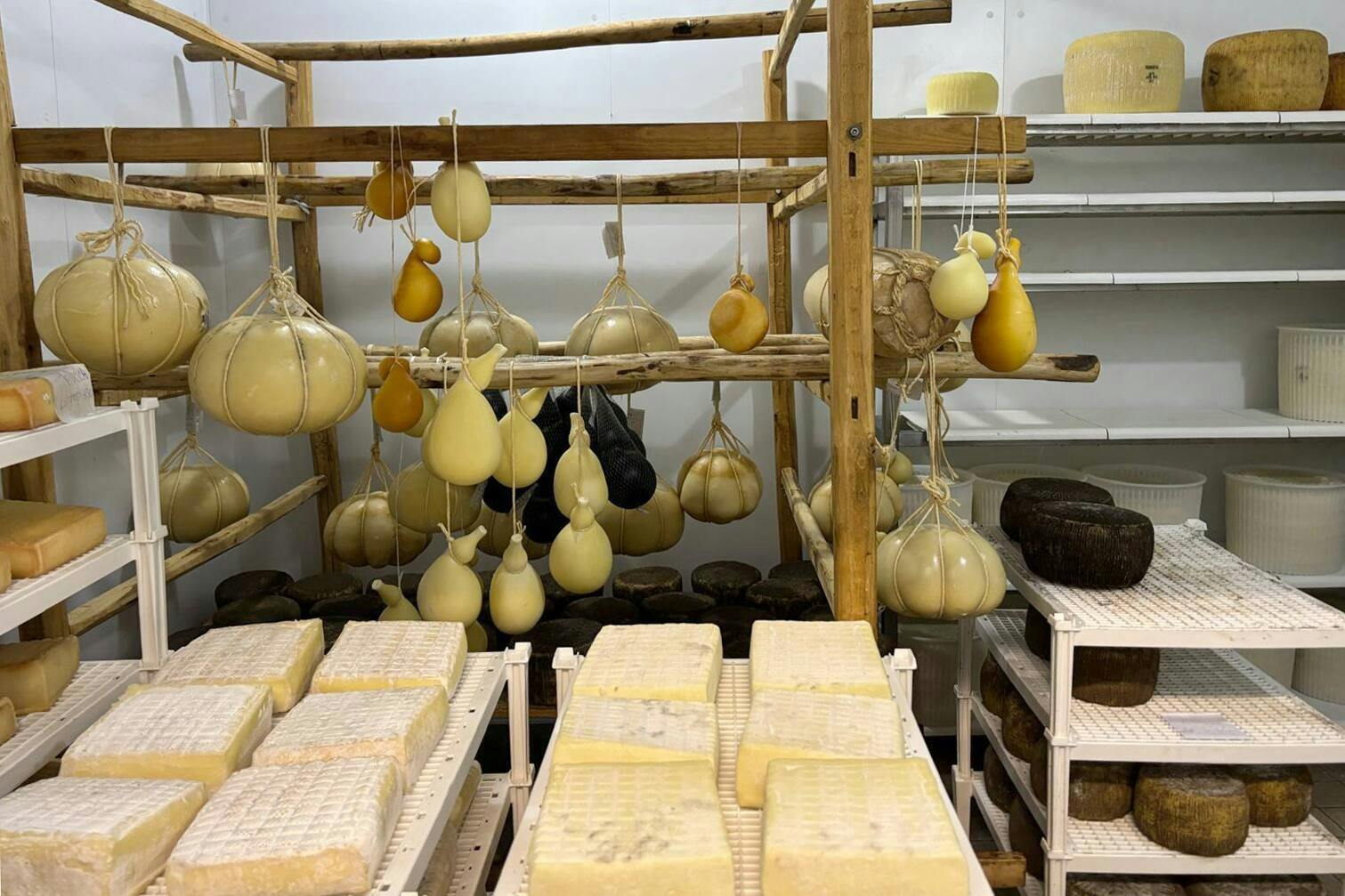 Olive oil and cheese-tasting tour with Castelbuono visit
