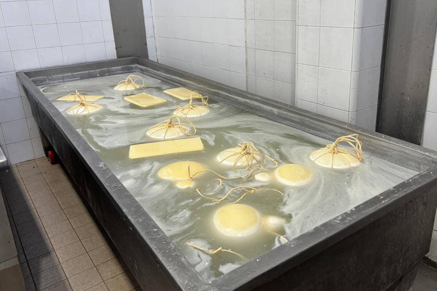 Olive oil and cheese-tasting tour with Castelbuono visit