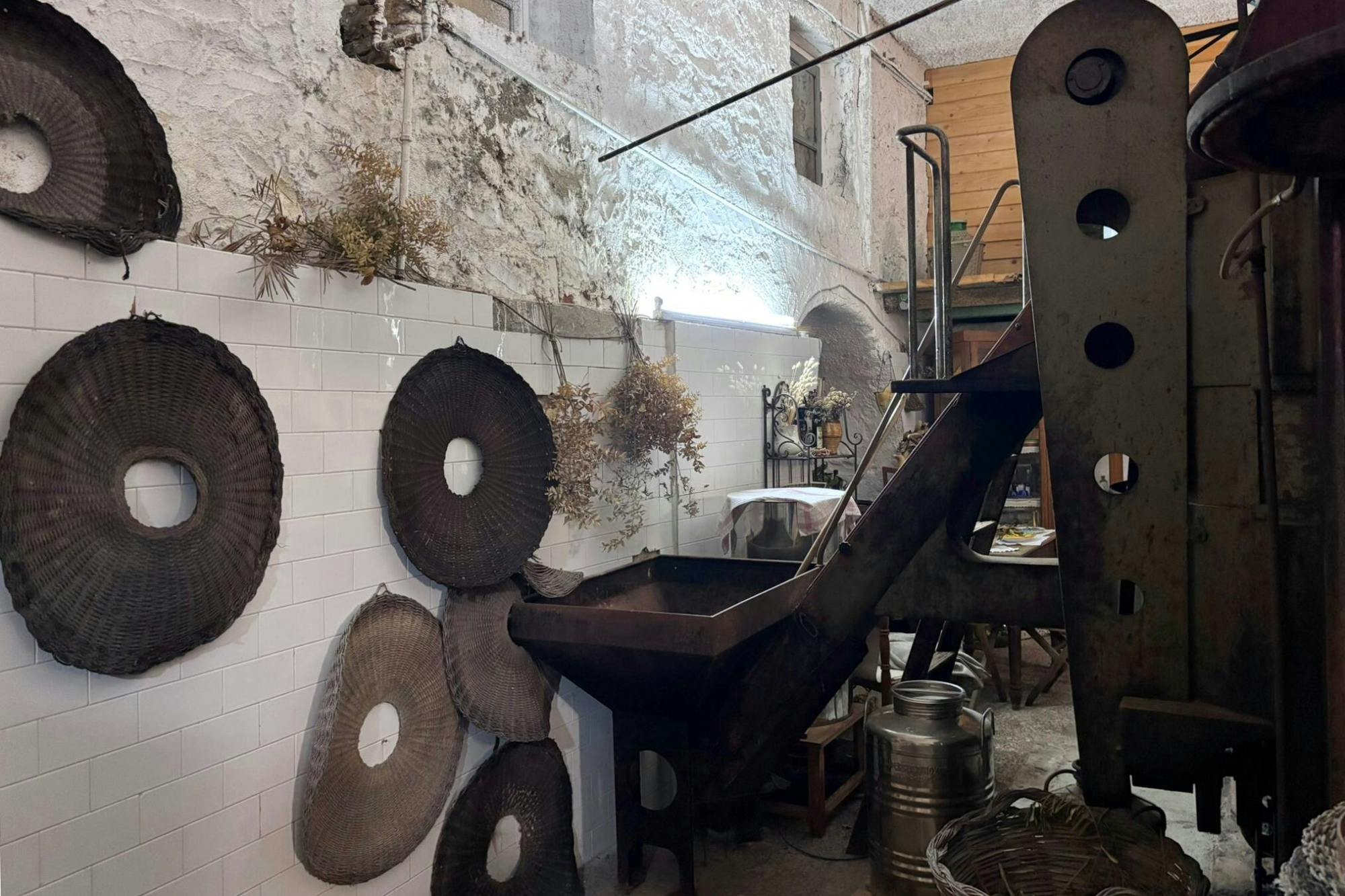 Olive oil and cheese-tasting tour with Castelbuono visit