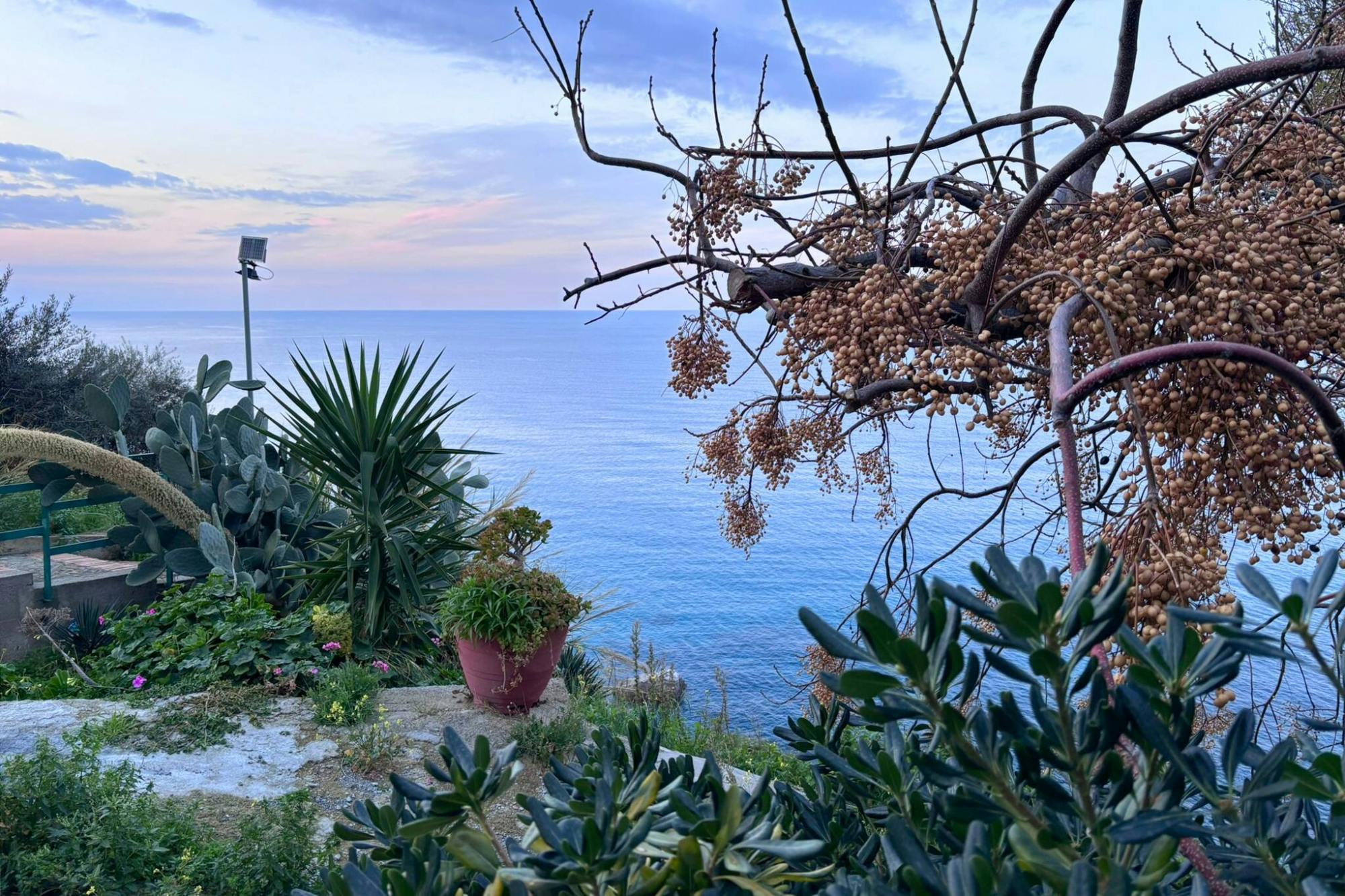 Olive oil and cheese-tasting tour with Castelbuono visit