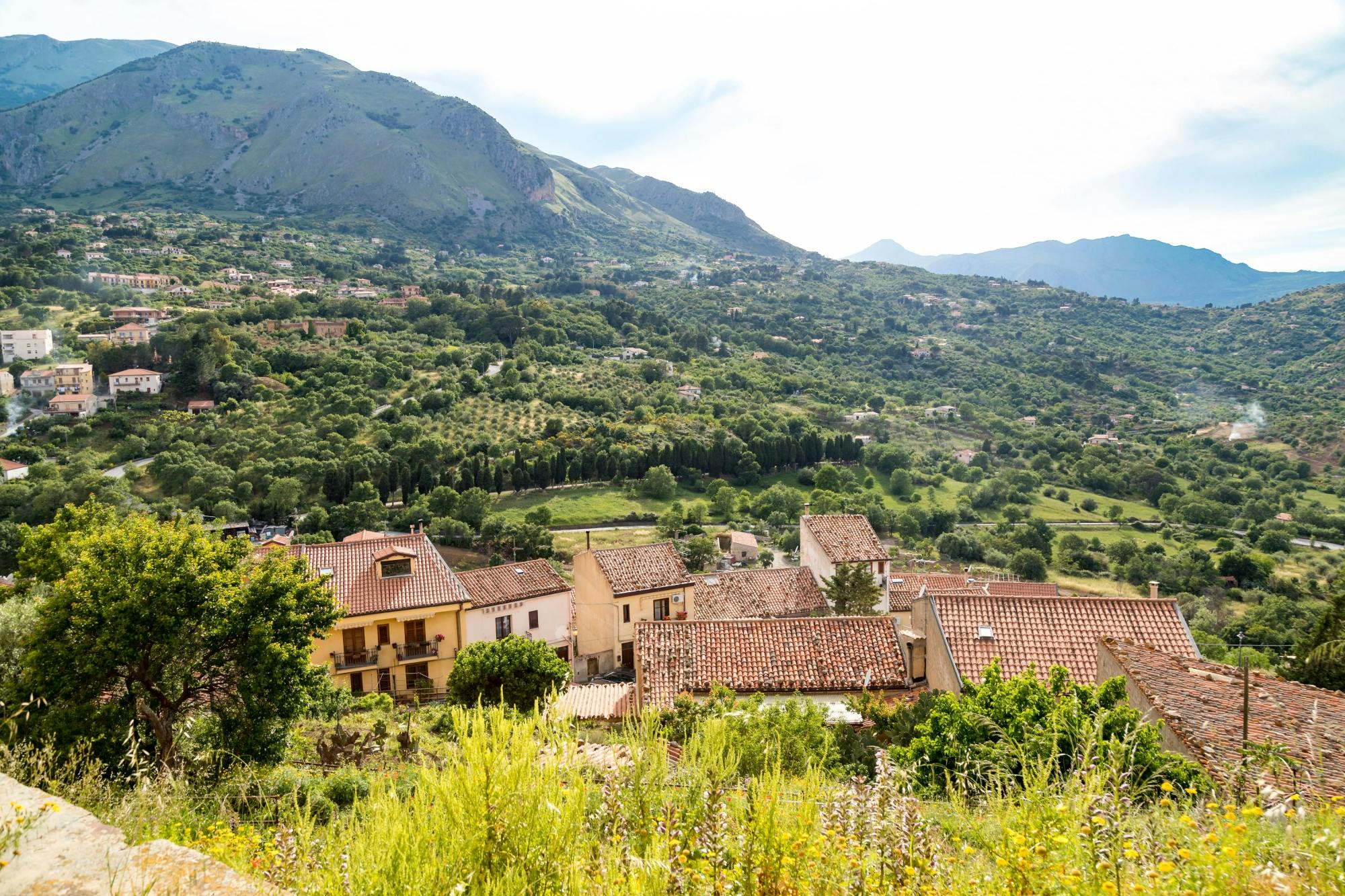 Olive oil and cheese-tasting tour with Castelbuono visit