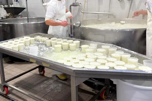 Olive oil and cheese-tasting tour with Castelbuono visit