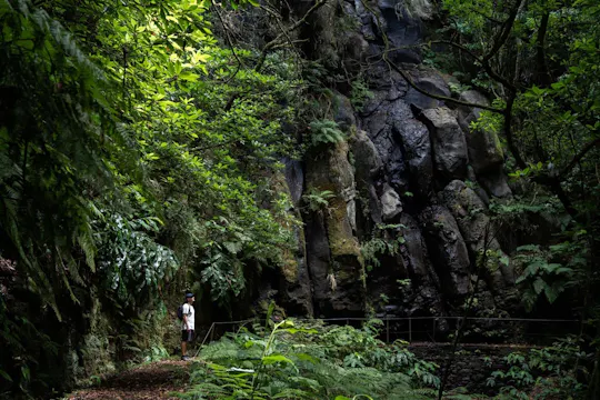 Transfer do Levada do Caldeirão Verde z odbiorem