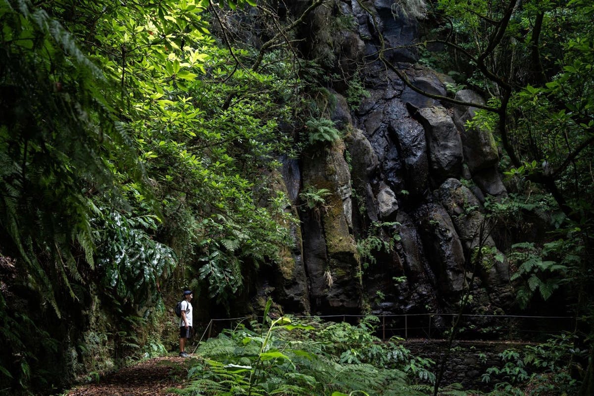 Transfer naar Levada do Caldeirão Verde met pick-up