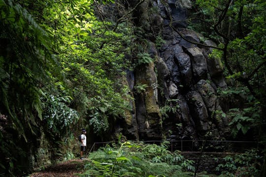 Traslado a Levada do Caldeirão Verde con recogida