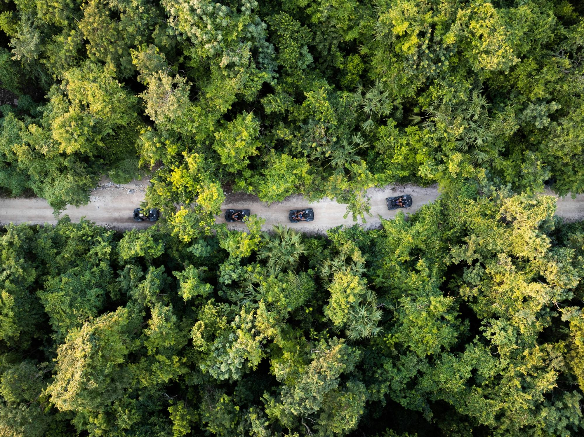 Half-day ATV jungle tour in Mexico with lunch