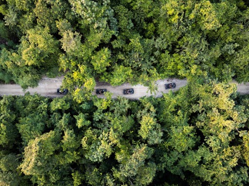 Full-day ATV and adventure park day in Mexico