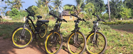 Cultural e-bike tour from Diani Beach