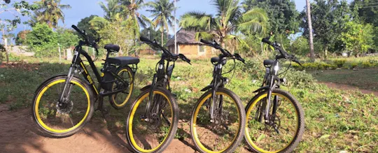 Recorrido cultural en bicicleta eléctrica desde la playa de Diani