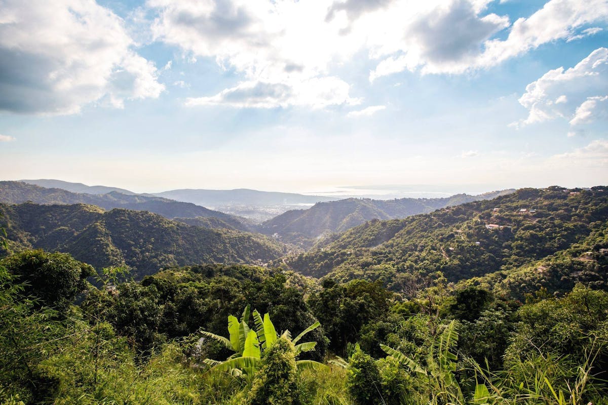 Blue Mountains Tour