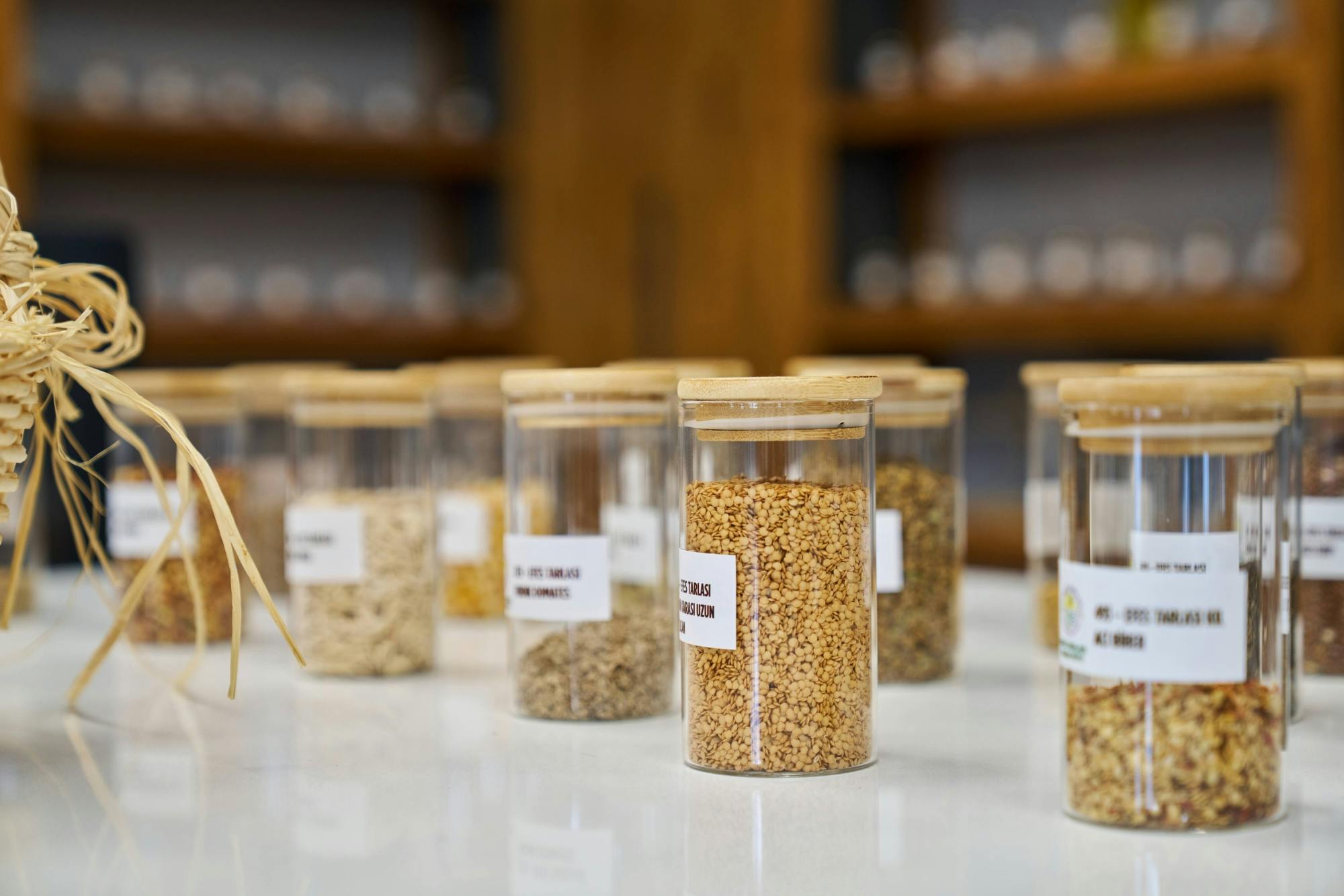 Nat Geo Day Tour: Maternal Icons: Artemis, Virgin Mary & a Local Mayor