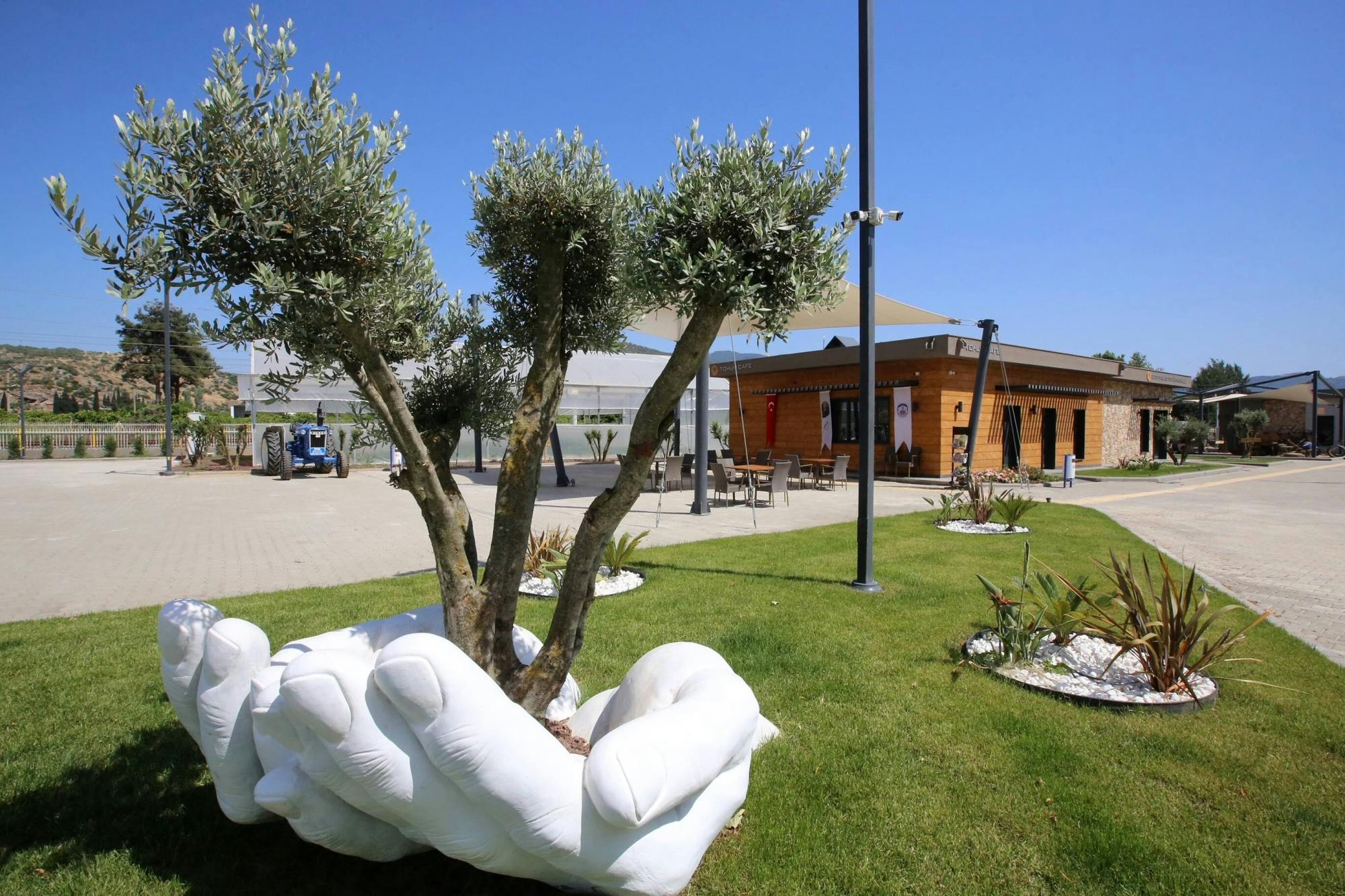 Nat Geo Day Tour: Maternal Icons: Artemis, Virgin Mary & a Local Mayor