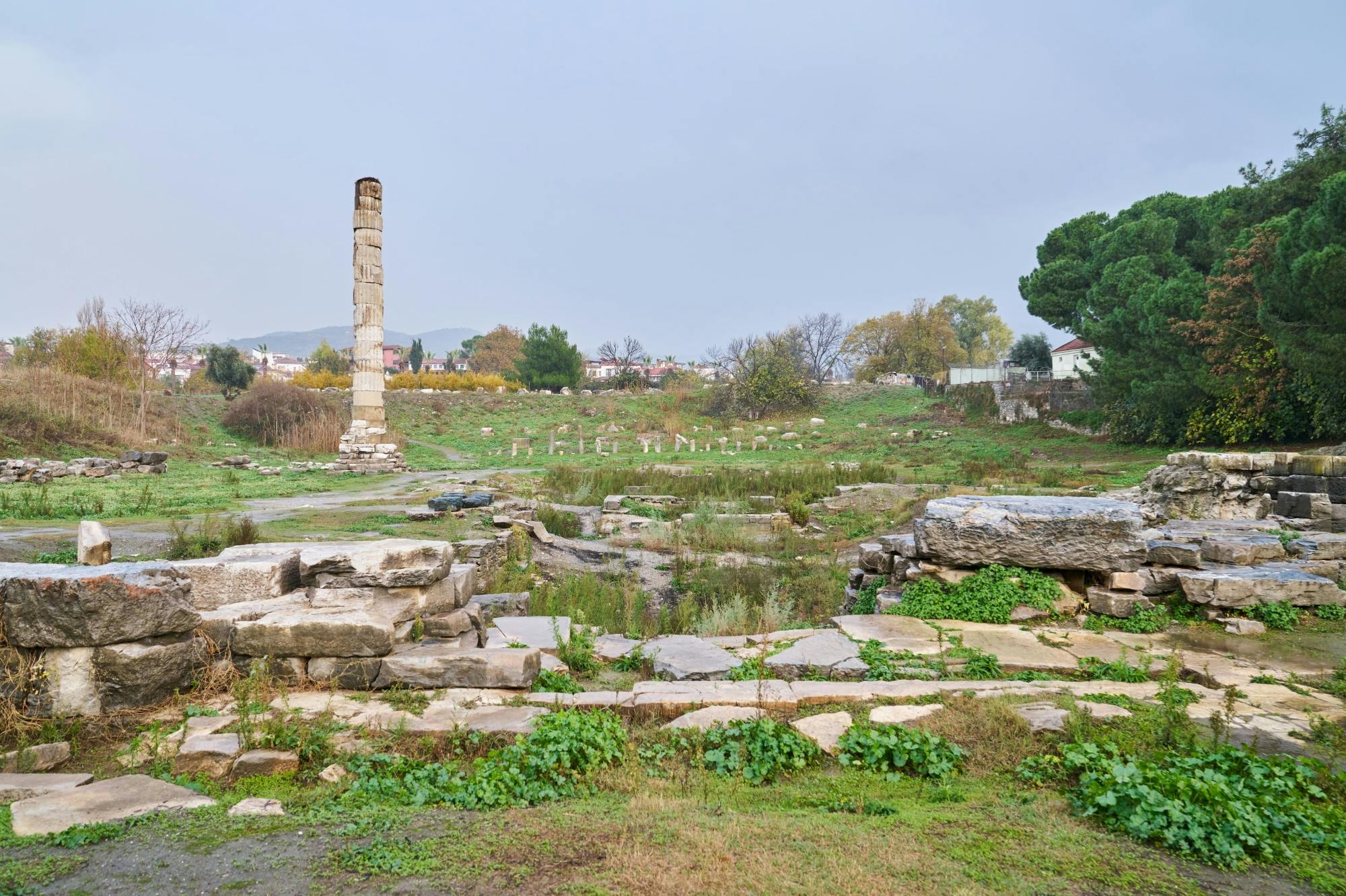 Nat Geo Day Tour: Maternal Icons: Artemis, Virgin Mary & a Local Mayor