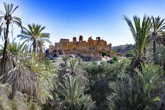 Day trip to Taroudant and Tiout with lunch from Agadir or Taghazout