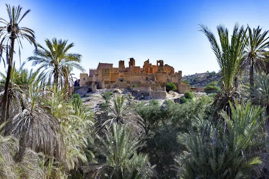 Excursion d'une journée à Taroudant et Tiout avec déjeuner au départ d'Agadir ou de Taghazout