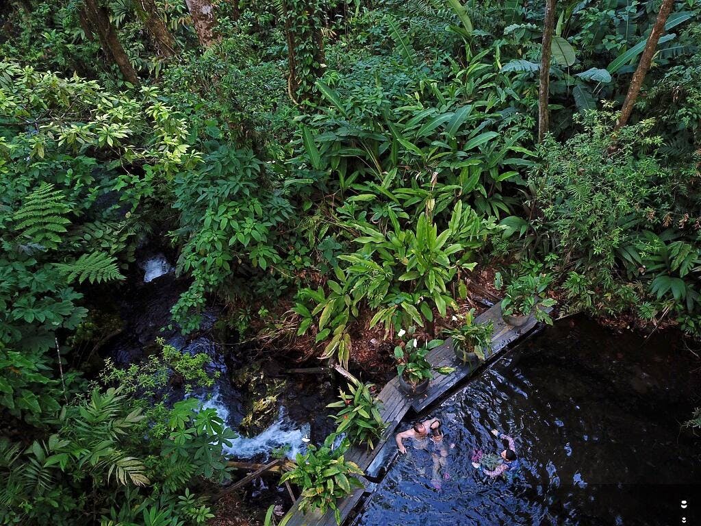 Sensoria Rainforest hiking tour