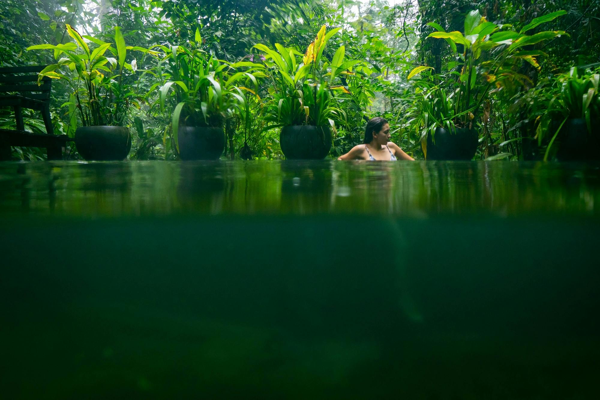 Sensoria Rainforest hiking tour