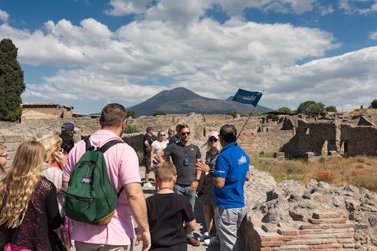 Pompeii small group tour with skip-the-line tickets in Spanish