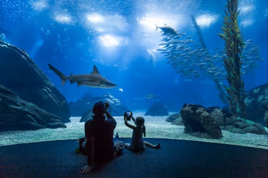 Billets pour l'Oceanário de Lisboa et téléphérique aller-retour