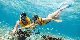 Esperienza di snorkeling per non nuotatori a Cancun