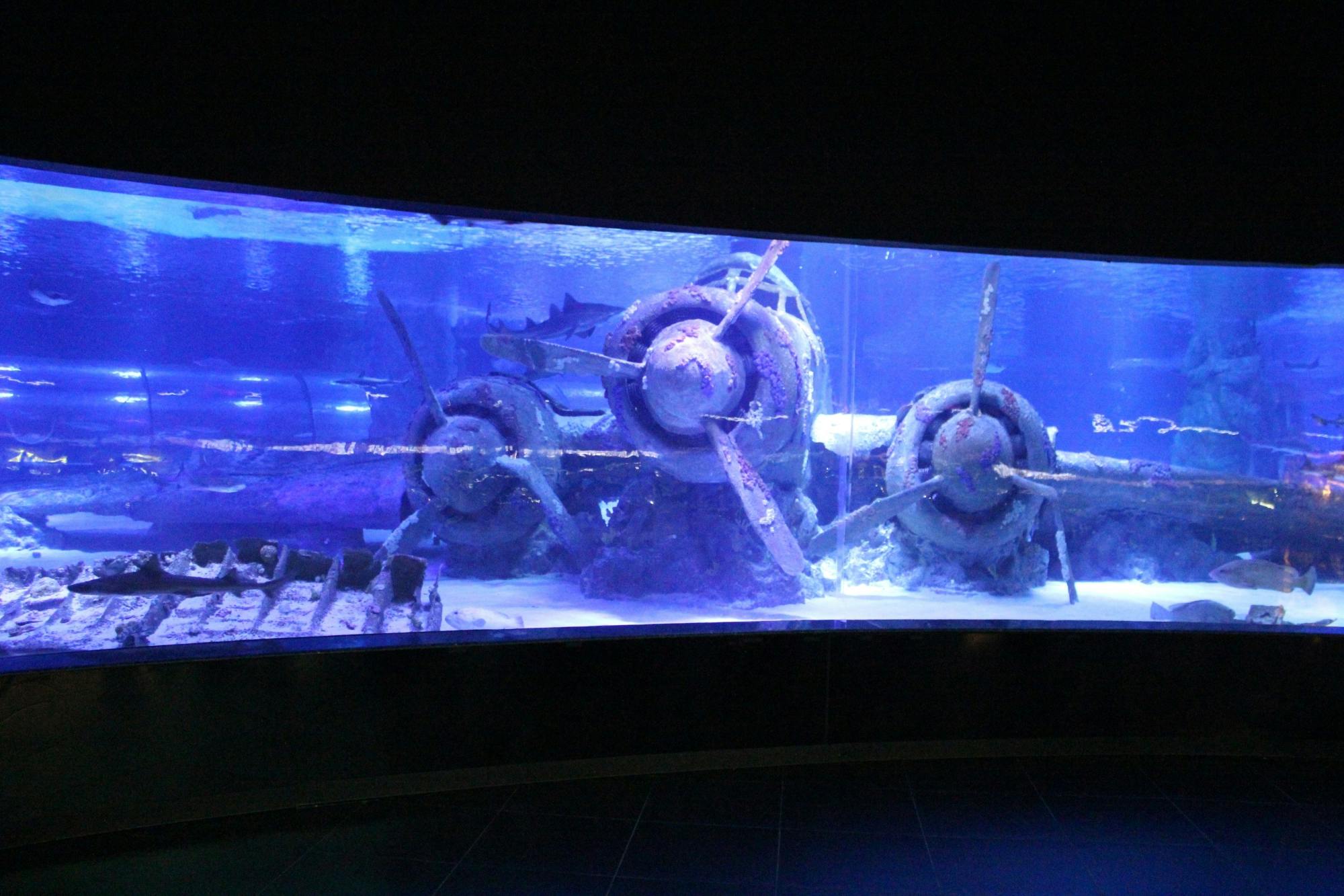 Antalya Aquarium Ticket