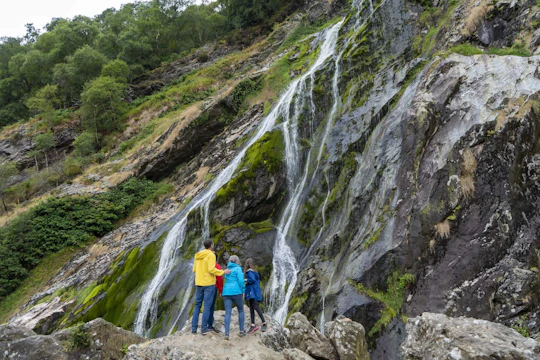 Wicklow, Glendalough, waterfall and sheepdog demo