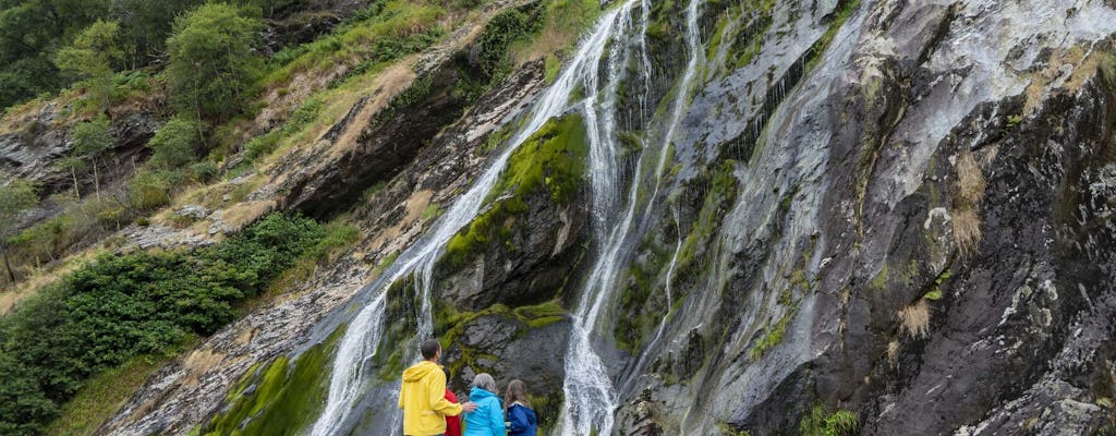 Wicklow, Glendalough, Wasserfall und Schäferhund-Demo