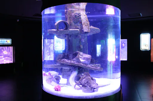 Antalya Aquarium Ticket