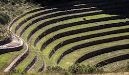 Half-day guided tour of Moray circular terraces and Maras salt ponds