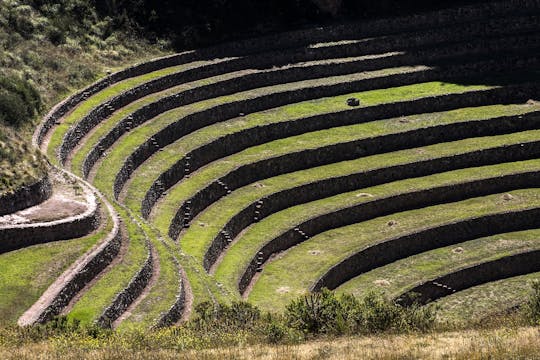 Half-day guided tour of Moray circular terraces and Maras salt ponds