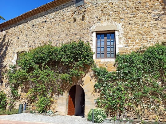 Gala Dalí Castle entrance ticket