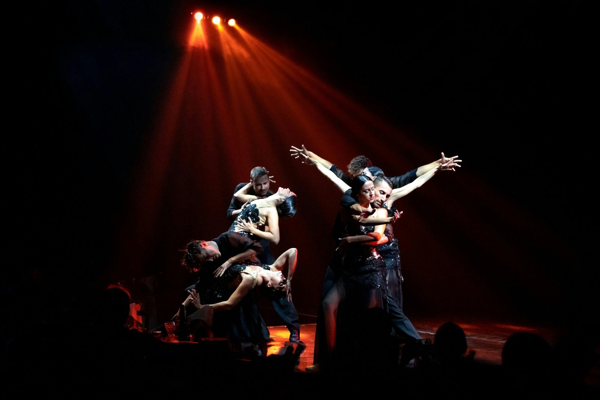 Exhibit Show by House of Son Amar