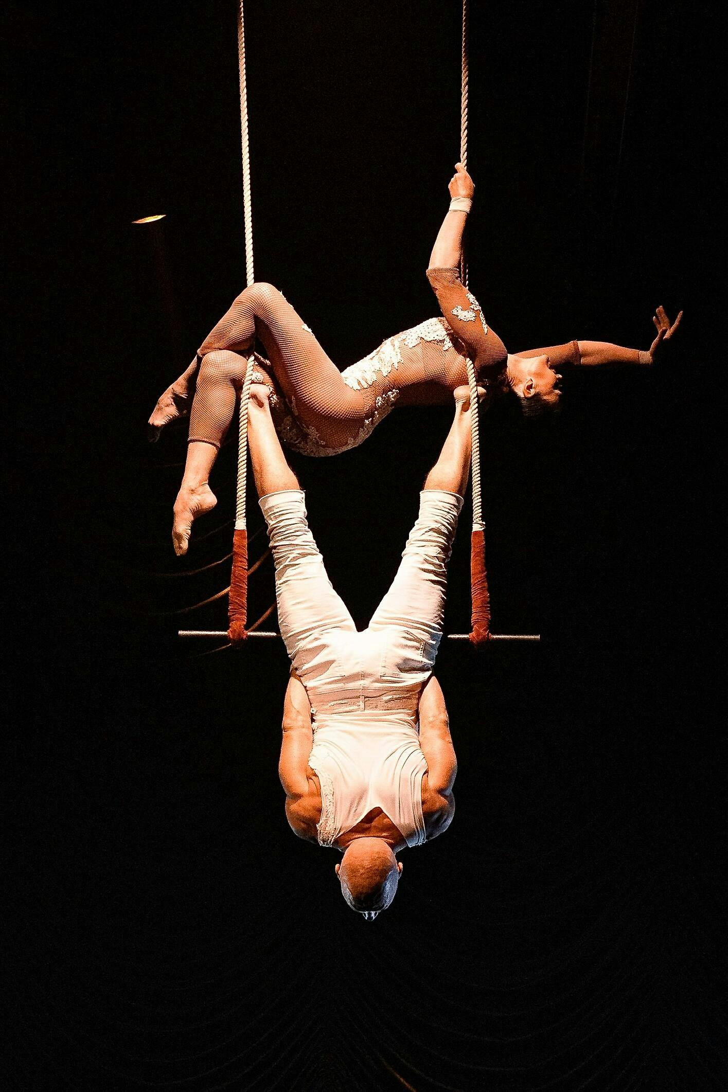 Exhibit Show by House of Son Amar