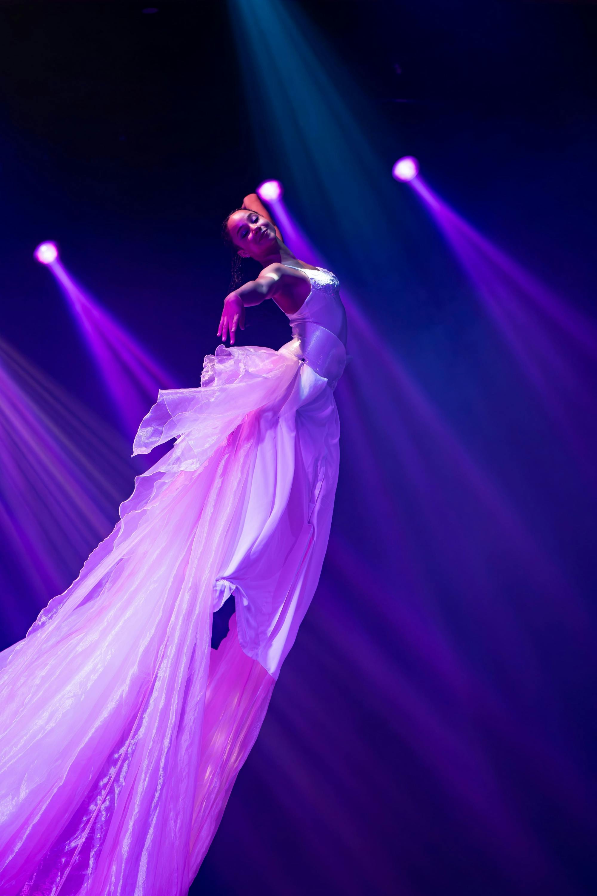 Exhibit Show by House of Son Amar