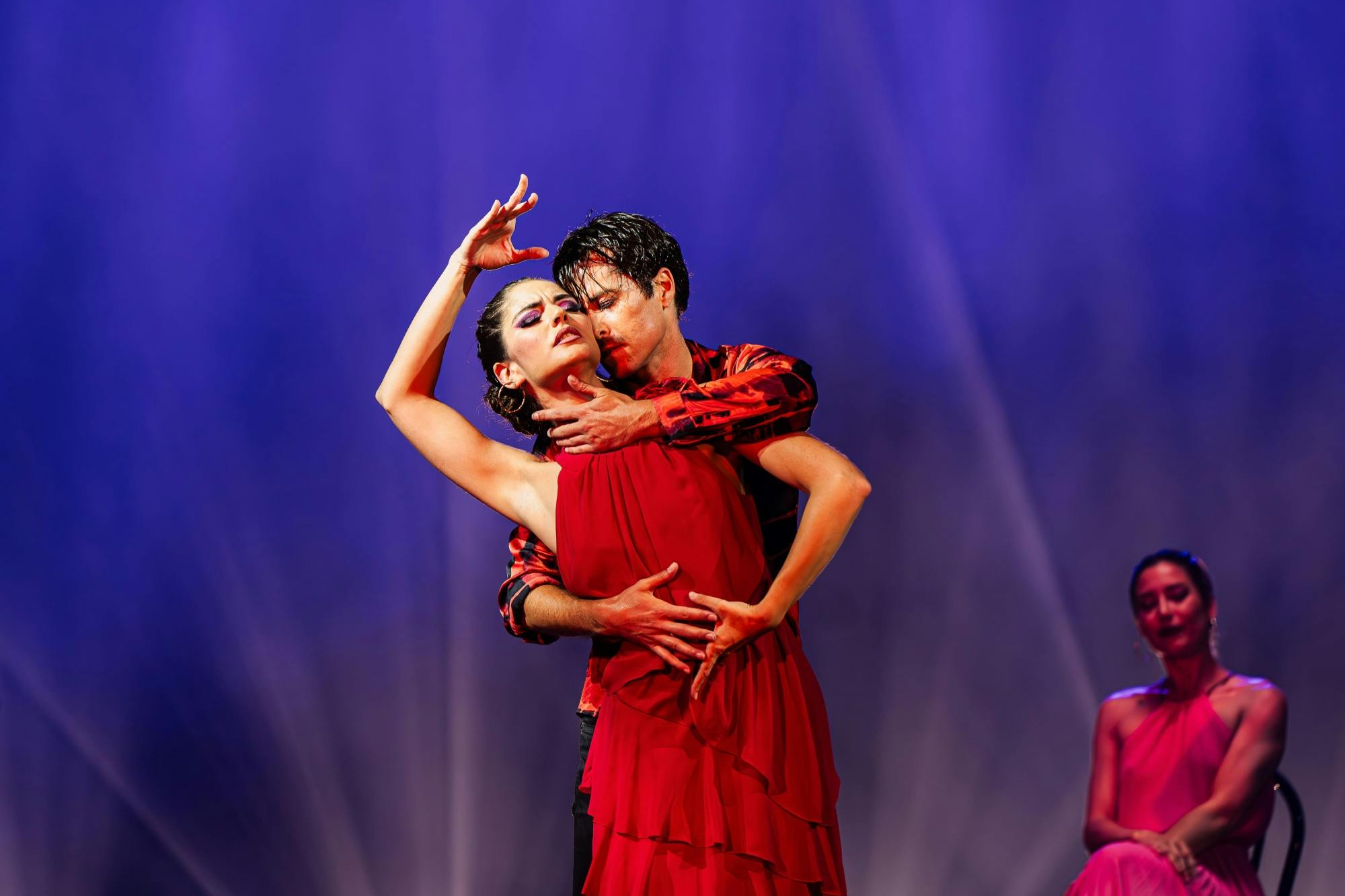 Exhibit Show by House of Son Amar