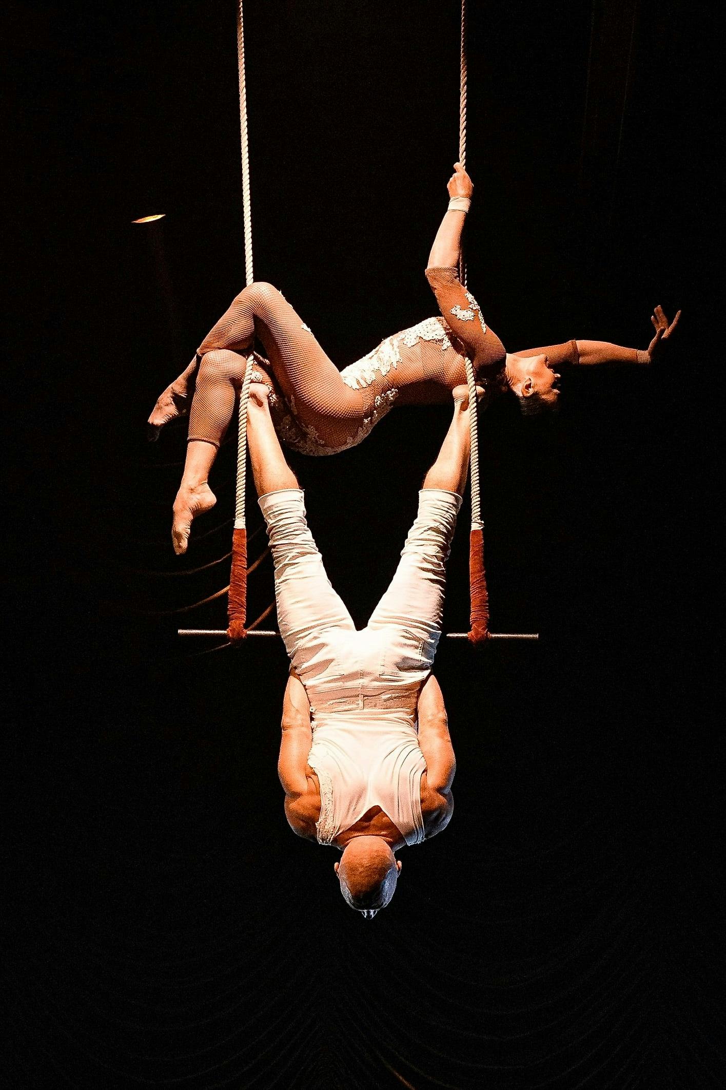 Exhibit Show by House of Son Amar