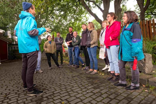 Tour privato a piedi di Reykjavik con pranzo