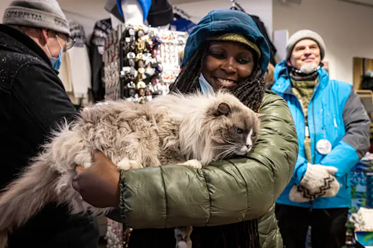 Tour privato a piedi di Reykjavik per gli amanti dei gatti
