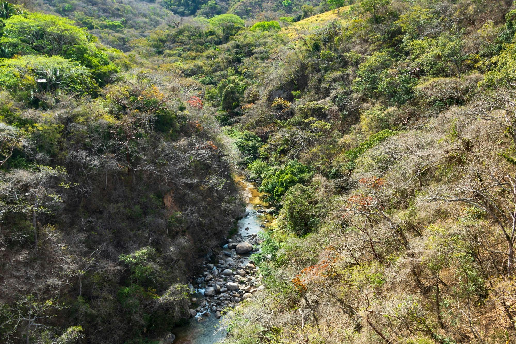 Jorullo Bridge Razor Tour