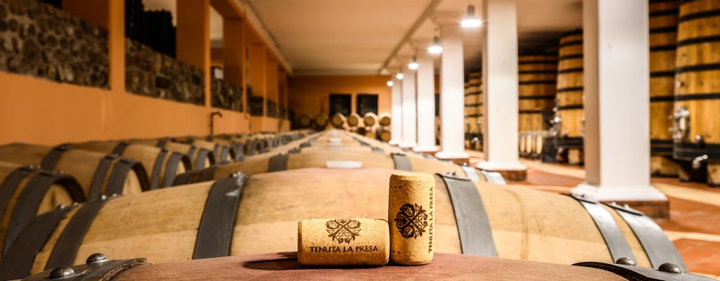 Weintour mit Verkostung in den Garda Hills