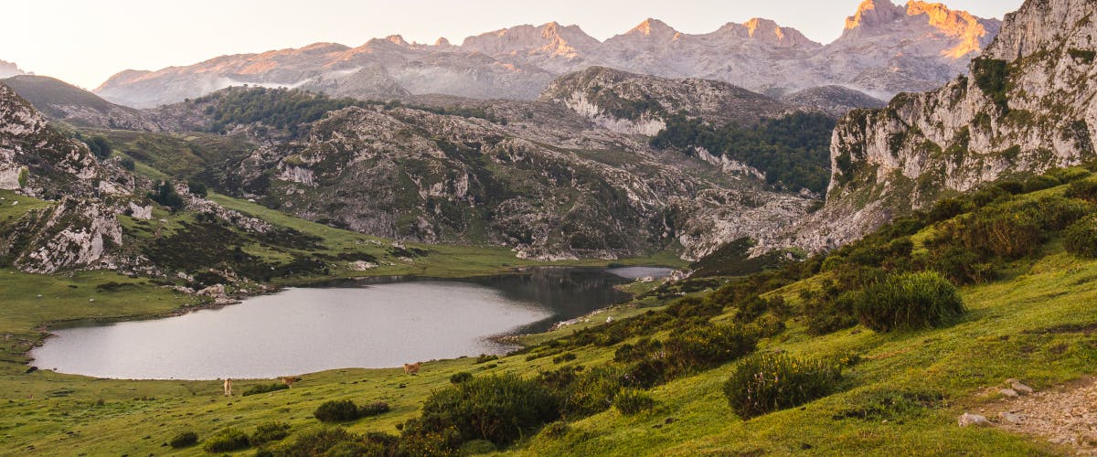 Rondleiding Picos de Europa
