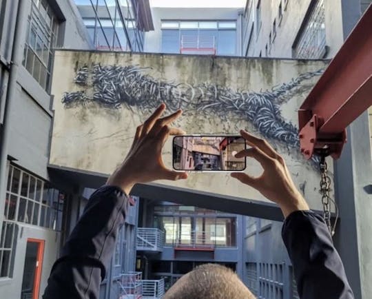 Cape Town street art private tour