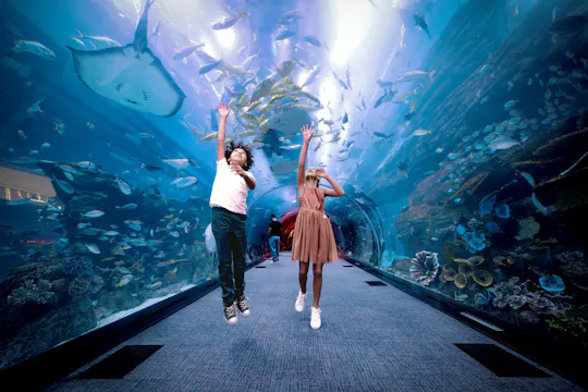 Bilety na piętra Burdż Chalifa 124, 125 i do Dubai Aquarium