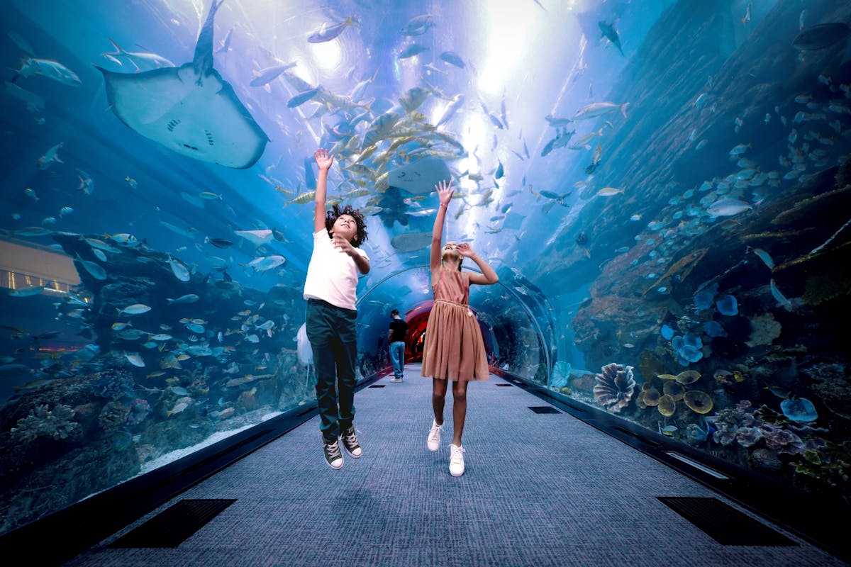 Tickets voor de 124e en 125e verdieping van de Burj Khalifa en het Dubai Aquarium