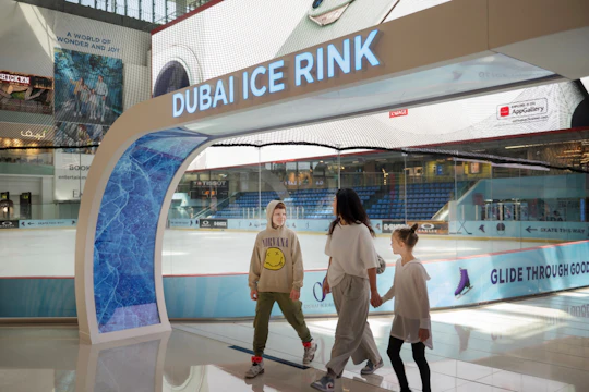 Dubai Ice Rink general admission