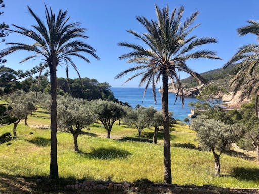 Kayak and hiking tour of Majorca’s Dragonera Island