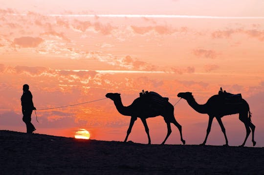 Tunesische Sahara 4x4 Tour mit Star Wars-Dorf und lokalem Mittagessen